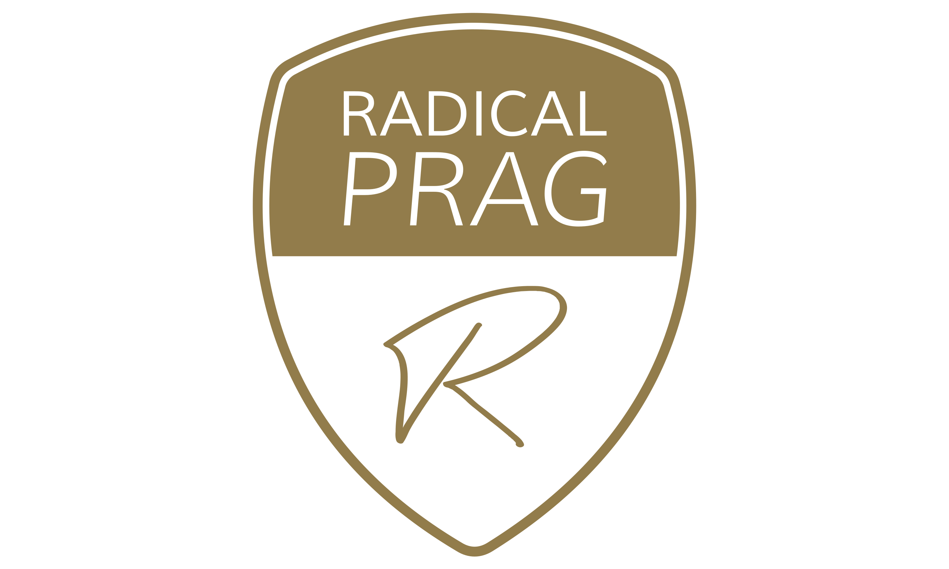 RadicalPrag
